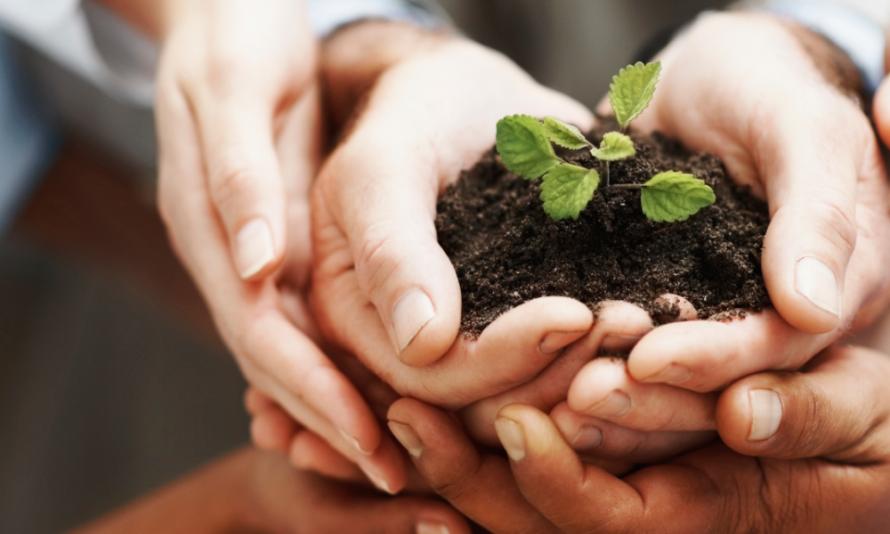 To Do Good, Communicate Well: Public Relations Tips for Non-Profits To Do Good, Communicate Well: Public Relations Tips for Non-Profits