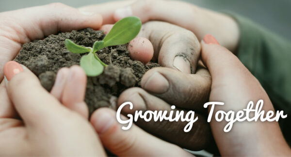 E3 Cluster_ Sliders-01