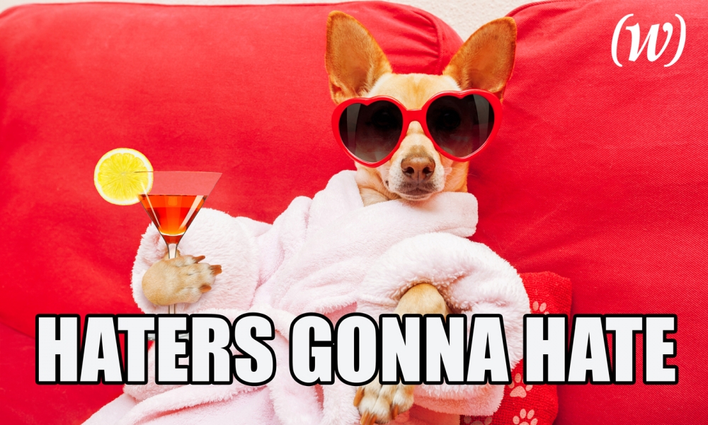 8 Hilarious Reasons for a Love-Hate Relationship With HARO 8 Hilarious Reasons for a Love-Hate Relationship With HARO